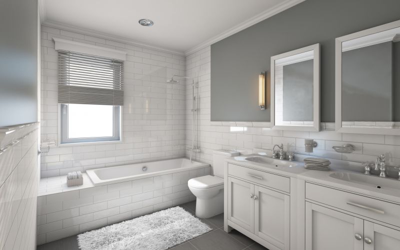Bathroom Modification in Saint Petersburg, FL